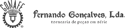 Fernando Gonçalves, Lda.