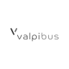 Valpi Bus - Albtº Pinto & Filhos, S.A.